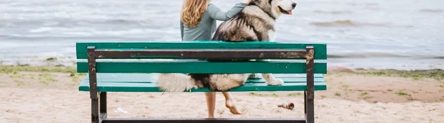 取标题的七种技巧,24个案例剖析 七个取标题技巧,24个案例剖析