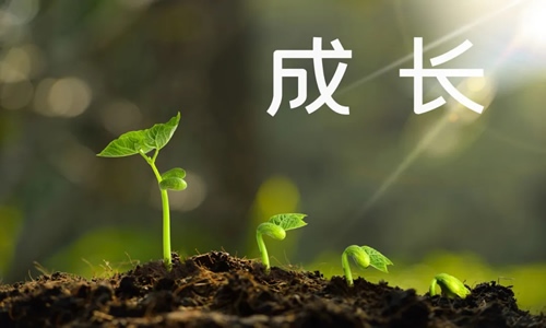 做了那么多的项目，还是赚不到钱?