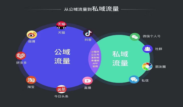 视频号的 #话题标签 怎么引流