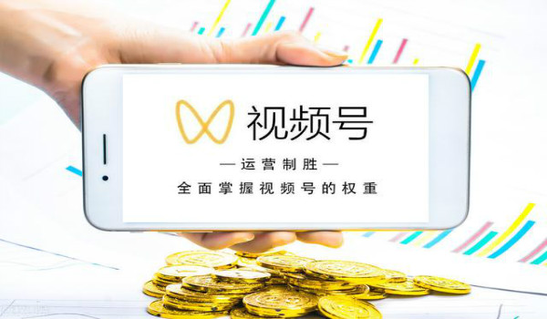 自动草稿 微信视频号推送规律
