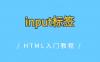 input标签