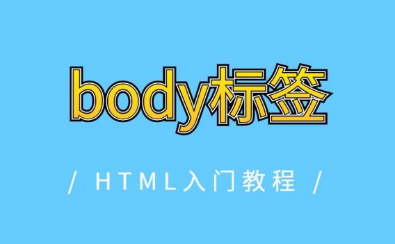 body标签
