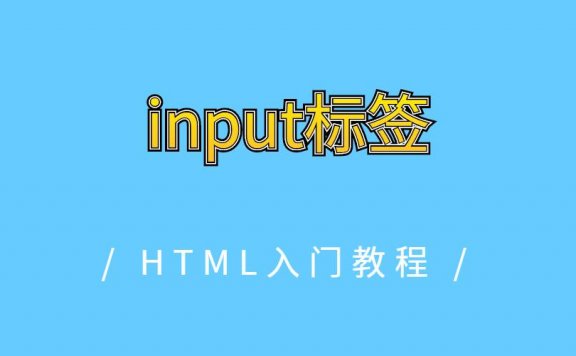 input标签
