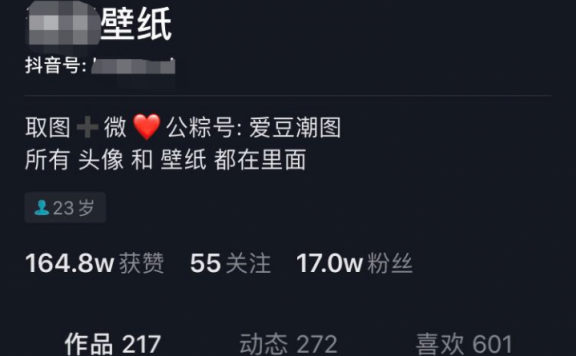 抖音壁纸号赚钱项目解析