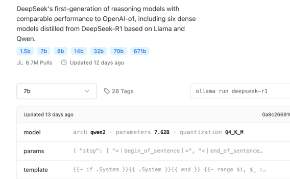 大模型圈最新现状中，DeepSeek的使用情况如何？DeepSeek的使用方式有哪些？